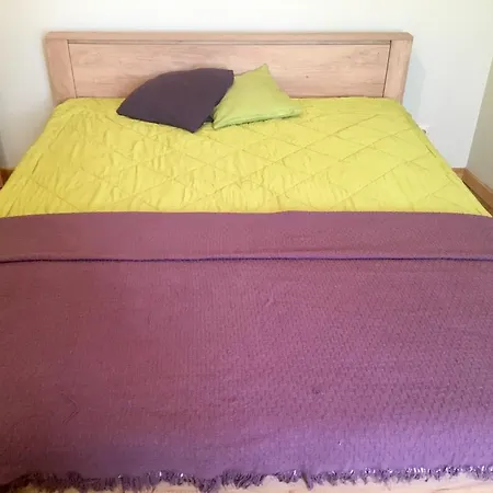 Ernesta Birznieka-upisa Iela Apartament *