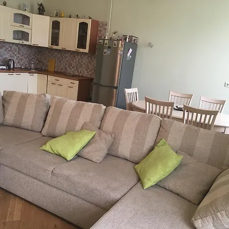 Ernesta Birznieka-upisa Iela Apartament *